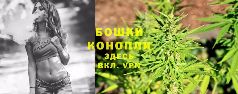 Шишки марихуана OG Kush  сколько стоит  это официальный сайт  Богородск  hydra ссылка 